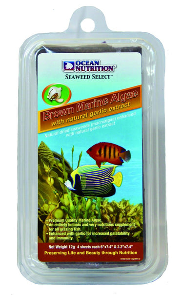 Brown Seaweed 12g